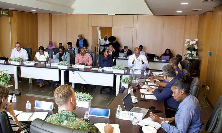 ODM: New system has high  potential for development